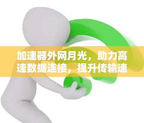 加速器外网月光，助力高速数据连接，提升传输速度