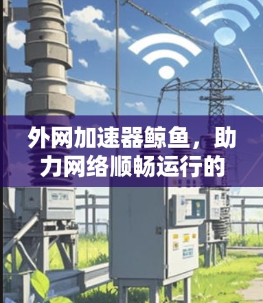 外网加速器鲸鱼,助力网络顺畅运行的便捷选择 外网加速器鲸鱼,助力网络顺畅运行的便捷选择