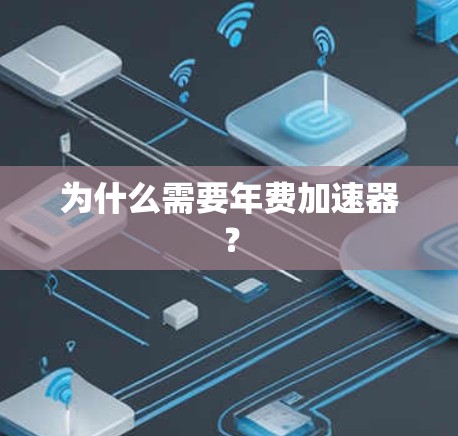 为什么需要年费加速器？
