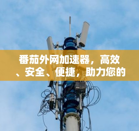 番茄外网加速器，高效、安全、便捷，助力您的网络世界