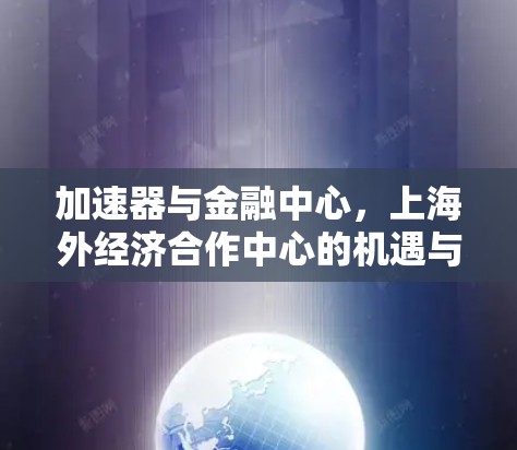 加速器与金融中心，上海外经济合作中心的机遇与挑战