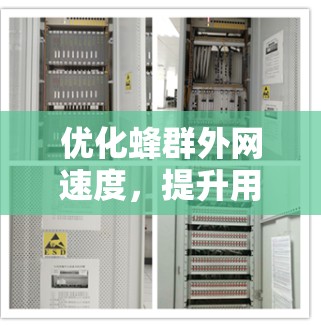 优化蜂群外网速度，提升用户体验—蜂群外网加速器推荐