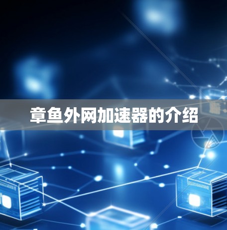 章鱼外网加速器的介绍