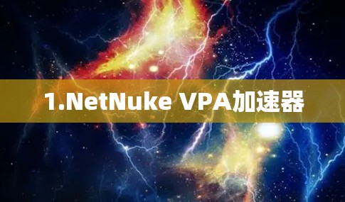 1.NetNuke VPA加速器