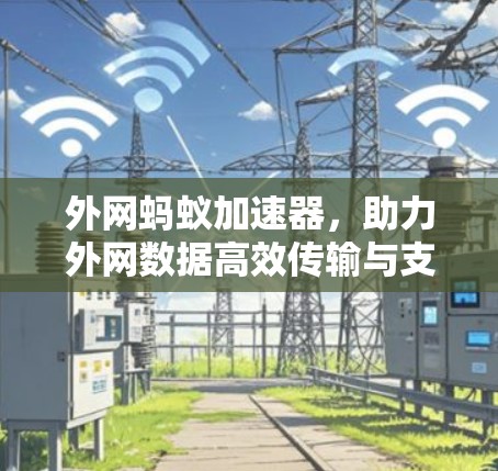 外网蚂蚁加速器，助力外网数据高效传输与支付