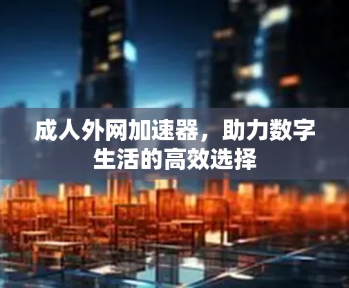 成人外网加速器，助力数字生活的高效选择