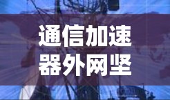 通信加速器外网坚果，让你更快上网的必备工具