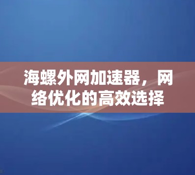 海螺外网加速器，网络优化的高效选择