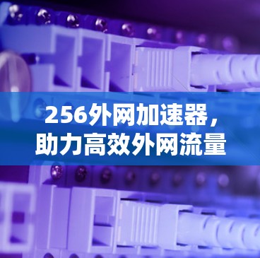 256外网加速器，助力高效外网流量管理