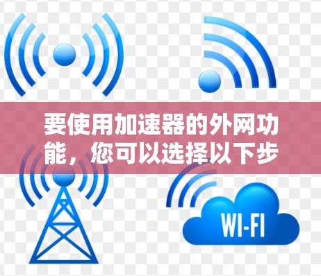 要使用加速器的外网功能，您可以选择以下步骤