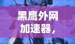黑鹰外网加速器，提升网络性能的可靠选择—专业推荐