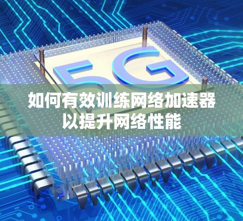 如何有效训练网络加速器以提升网络性能