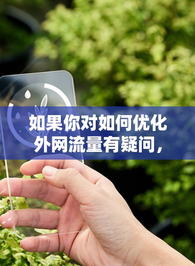 如果你对如何优化外网流量有疑问，可以参考以下步骤
