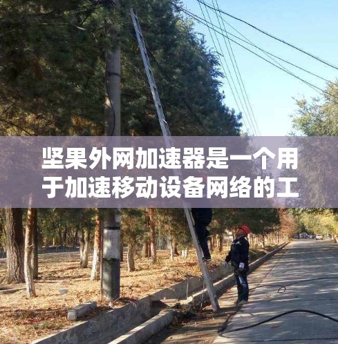 坚果外网加速器是一个用于加速移动设备网络的工具，旨在提升网络性能。以下是关于如何使用坚果外网加速器的详细步骤和注意事项