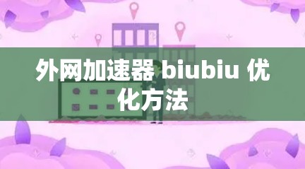 外网加速器 biubiu 优化方法