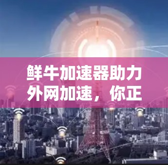 鲜牛加速器助力外网加速，你正在使用的速度其实并不如你想象的