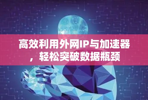 高效利用外网IP与加速器,轻松突破数据瓶颈 高效利用外网IP与加速器,轻松突破数据瓶颈