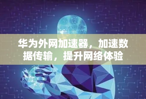华为外网加速器，加速数据传输，提升网络体验