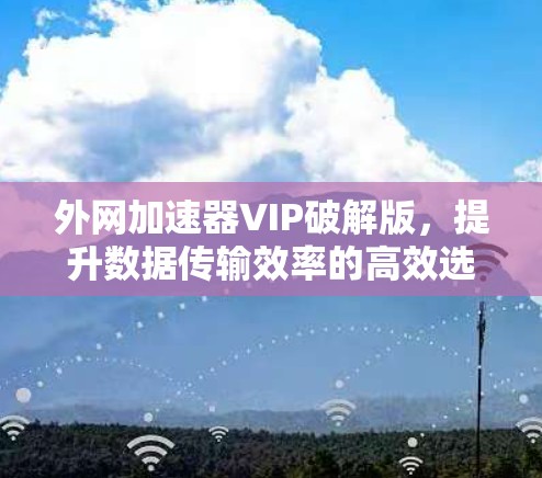 外网加速器VIP破解版,提升数据传输效率的高效选择 外网加速器VIP破解版,提升数据传输效率的高效选择
