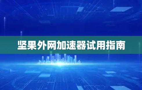 坚果外网加速器试用指南