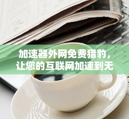 加速器外网免费猎豹，让您的互联网加速到无限速度！