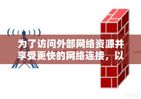 为了访问外部网络资源并享受更快的网络连接，以下是一些考虑因素和建议