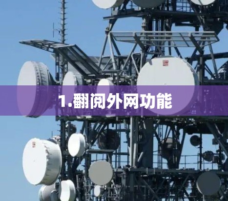 1.翻阅外网功能