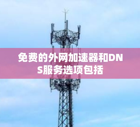 免费的外网加速器和DNS服务选项包括