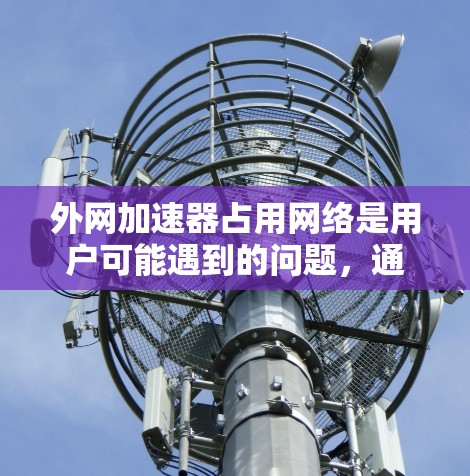 外网加速器占用网络是用户可能遇到的问题，通常涉及服务器资源和网络带宽的紧张。以下是详细的解决方案