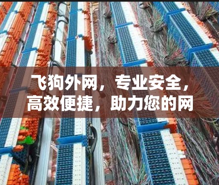 飞狗外网，专业安全，高效便捷，助力您的网络世界