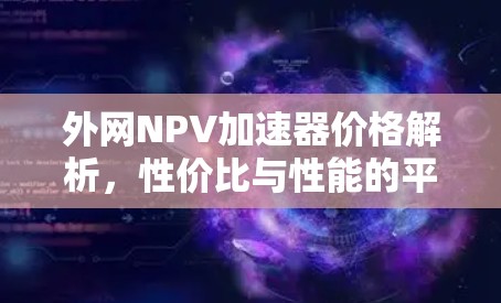 外网NPV加速器价格解析,性价比与性能的平衡 外网NPV加速器价格解析,性价比与性能的平衡
