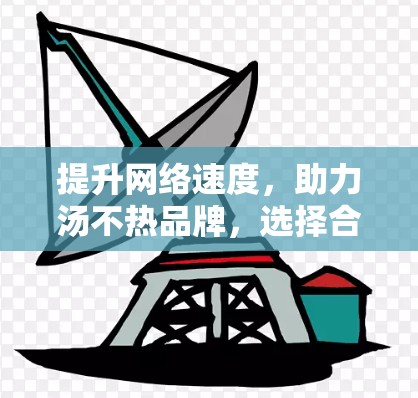 提升网络速度，助力汤不热品牌，选择合适的外网加速器