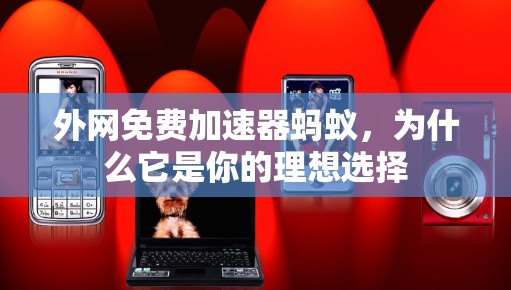 外网免费加速器蚂蚁,为什么它是你的理想选择 外网免费加速器蚂蚁,为什么它是你的理想选择