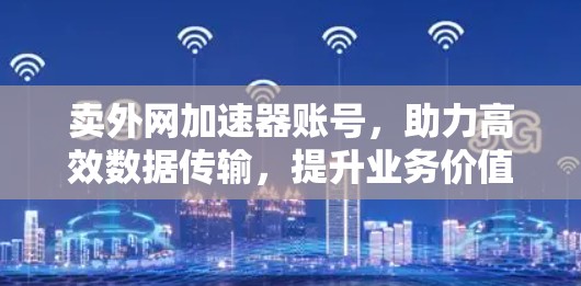 卖外网加速器账号，助力高效数据传输，提升业务价值