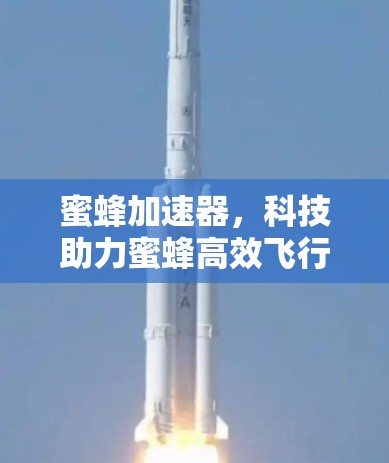 蜜蜂加速器，科技助力蜜蜂高效飞行