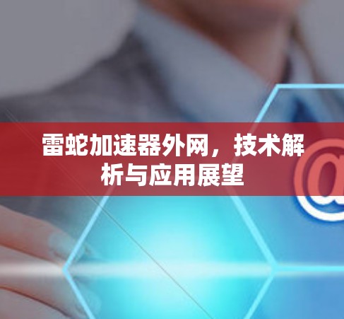 雷蛇加速器外网，技术解析与应用展望