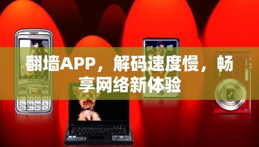 翻墙APP，解码速度慢，畅享网络新体验