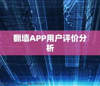 翻墙APP用户评价分析