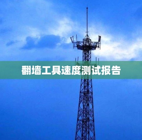 翻墙工具速度测试报告