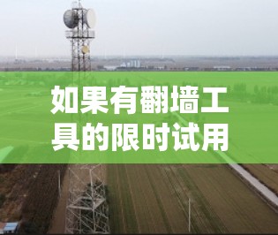 如果有翻墙工具的限时试用，通常会提供以下几种类型