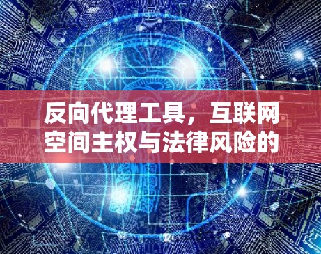 反向代理工具，互联网空间主权与法律风险的较量