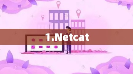 1.Netcat