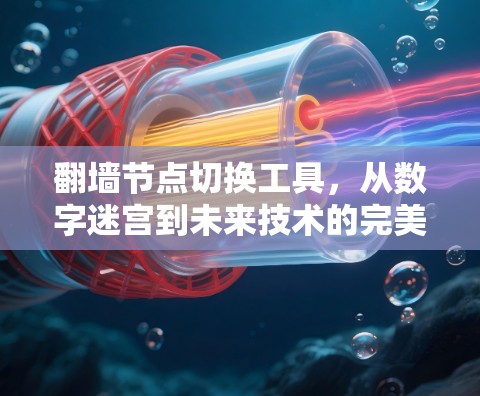 翻墙节点切换工具，从数字迷宫到未来技术的完美诠释