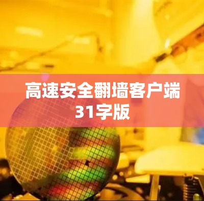 高速安全翻墙客户端31字版 高速安全翻墙客户端31字版
