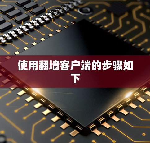 使用翻墙客户端的步骤如下 使用翻墙客户端的步骤如下