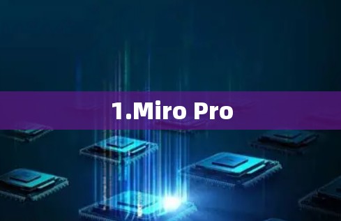 1.Miro Pro 1.Miro Pro