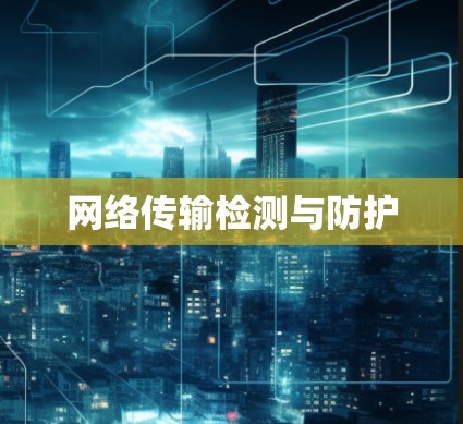 网络传输检测与防护 网络传输检测与防护