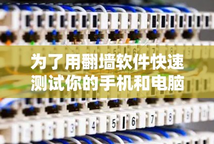 为了用翻墙软件快速测试你的手机和电脑的网络连接，以下是一个清晰的步骤指南