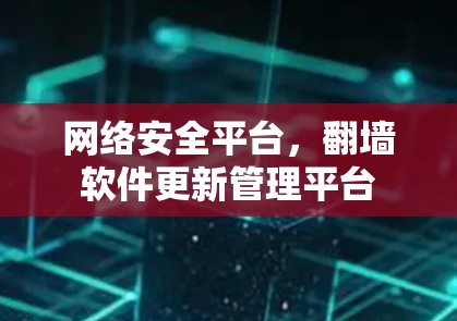 网络安全平台,翻墙软件更新管理平台 网络安全平台,翻墙软件更新管理平台