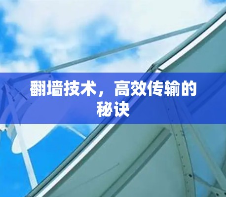 翻墙技术，高效传输的秘诀